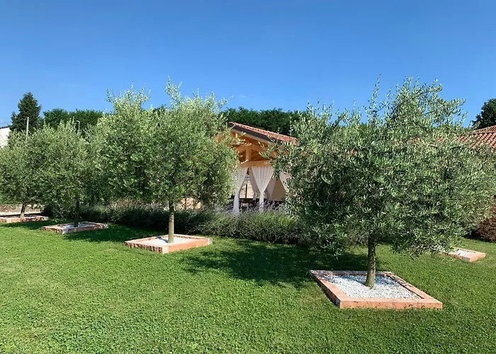 B&B Alciliegio